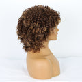 Synthetic Curly Short Mix Brown Wig for Women